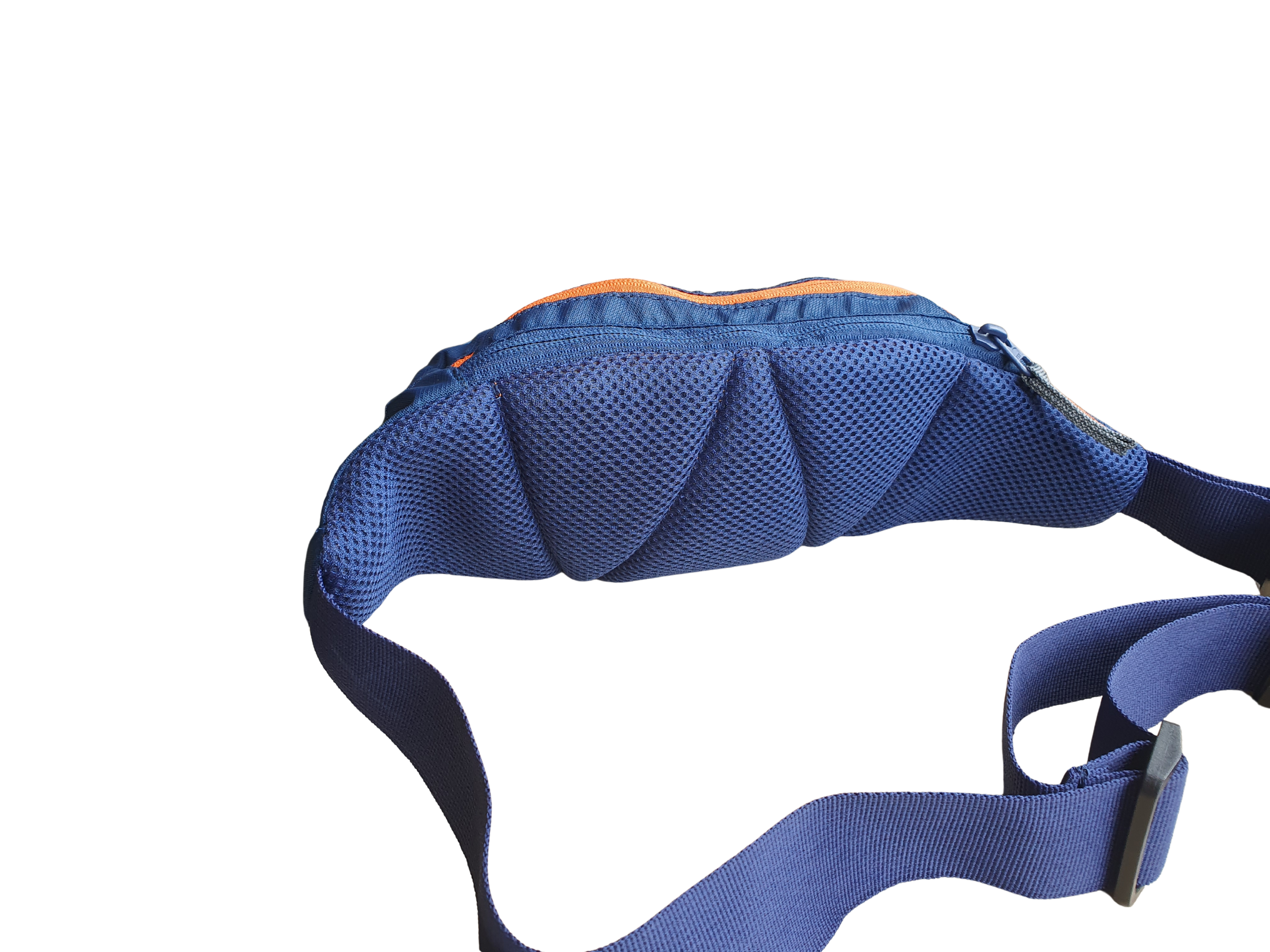 Astro_2 : Wildcraft : Blue